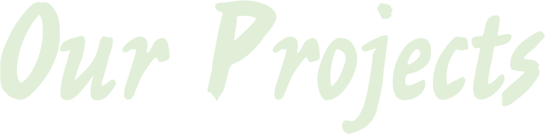 Our Projects